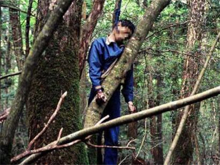 日本圣地自杀森林 为什么每年都有人去自杀