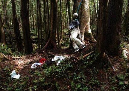 日本圣地自杀森林 为什么每年都有人去自杀