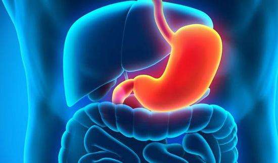 肠胃老是出状况?身为胃肠病高风险族群如何自保?