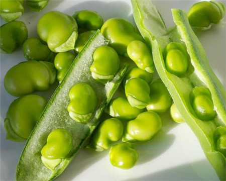 蚕豆有哪些营养价值?该怎么做菜好吃?