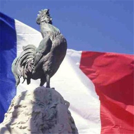 法国的国鸟竟是大公鸡?来看一看它的含义