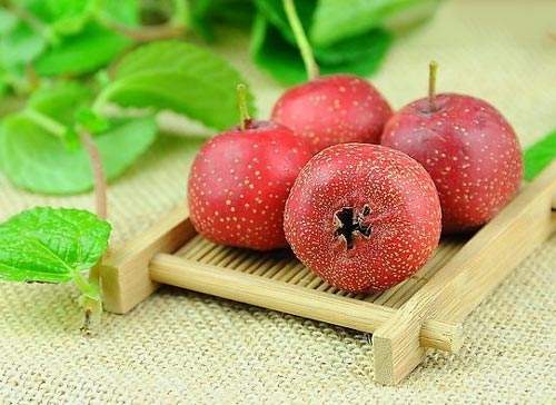 冬季养胃助消化的水果 你知道几个?