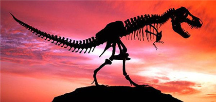 引起恐龙灭绝的原因 有没有可能复活恐龙?