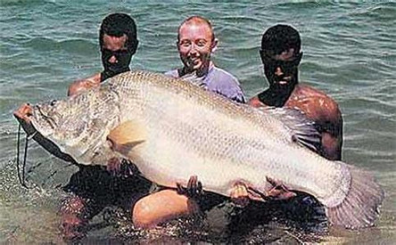 最大最凶恶的淡水鱼:尼罗河鲈鱼 2米长400斤