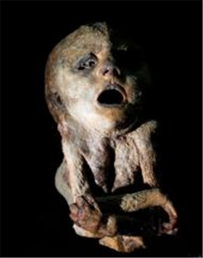 印加儿童木乃伊的发现 因为祭奠而死亡的孩子
