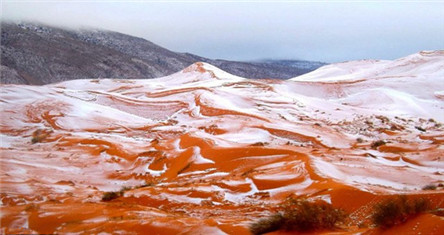 撒哈拉下雪:世界最热的地方竟然下雪