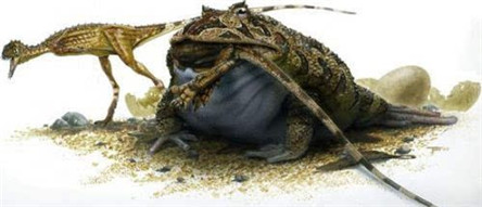 史上最大的青蛙:魔鬼蛙 恐龙蛋都敢吃