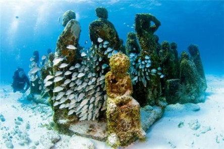 人工鱼礁是什么?有什么具体作用你知道吗?