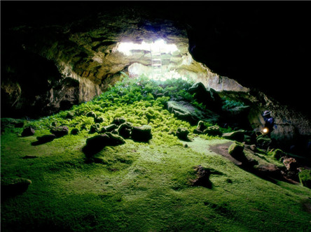 印尼爪哇谷洞简介 专门吞噬动物的洞穴