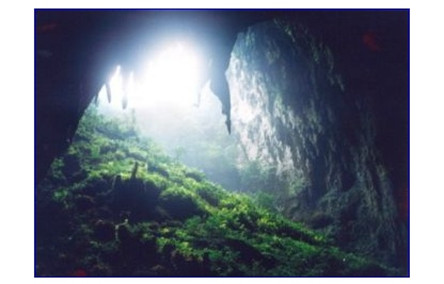 印尼爪哇谷洞简介 专门吞噬动物的洞穴