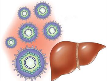 肝炎和乙肝有什么区别? 整体与部分的关系