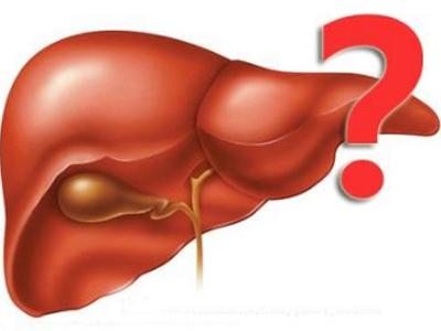 肝炎和乙肝有什么区别? 整体与部分的关系