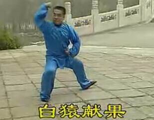 武冬：陈式太极拳竞赛套路教学07