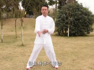 张俊峰传统杨氏太极拳 太极拳的发力