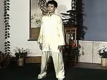 陈思坦杨式88式太极拳演练 