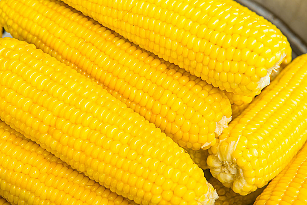 玉米的正确食用方法是什么？