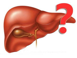 保护肝脏要注意哪些生活习惯？