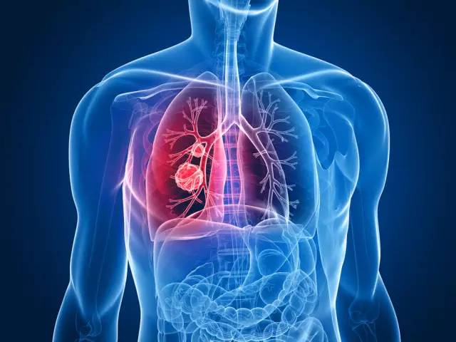 呼吸道疾病的“警报信号”是什么？
