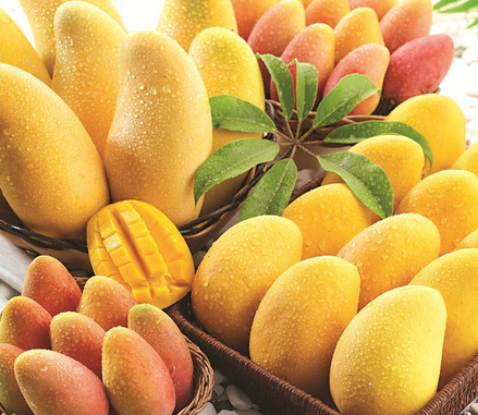 芒果有何营养价值？