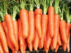 胡萝卜的营养价值 胡萝卜的功效与作用